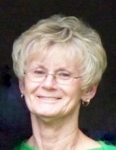 Sue D. Coner
