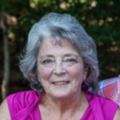 Cheryl Dreis McNierney 25893273