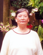 Wenxiu Zhu