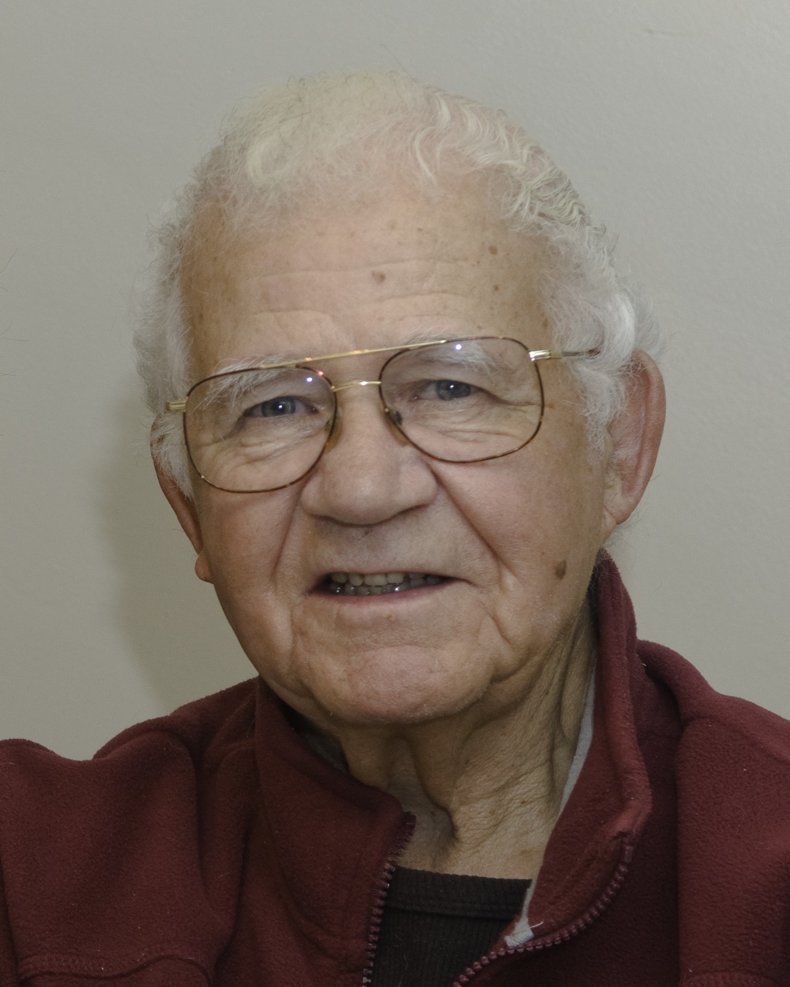 Harold Johnson Memories Trees