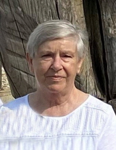 Karen S. Mielke