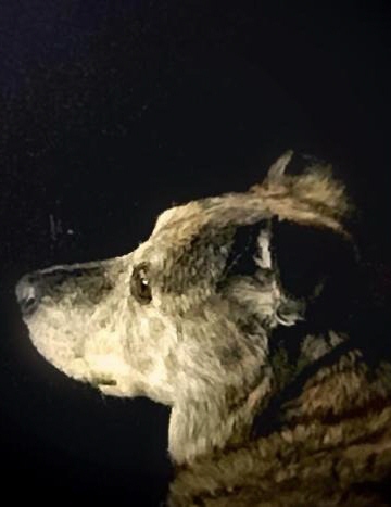 Emma Dawson - 2022 - All Pets Cremation Center