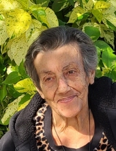 Georgette Sayegh Vekahhale 25960383