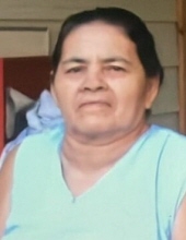 Maria Julia Flores Hernandez 25972831