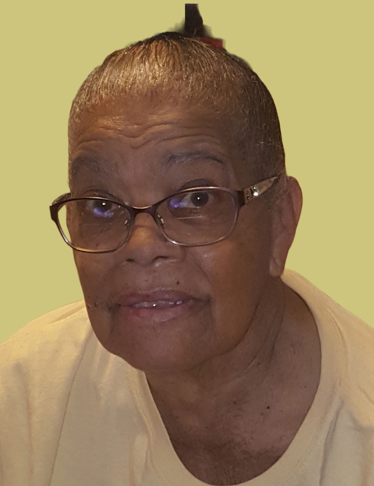 Paradise Funeral Home Obituaries Lansing - e236qq3