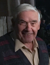 Vincenzo Nardangeli 26084076