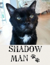 Shadow Man Ross