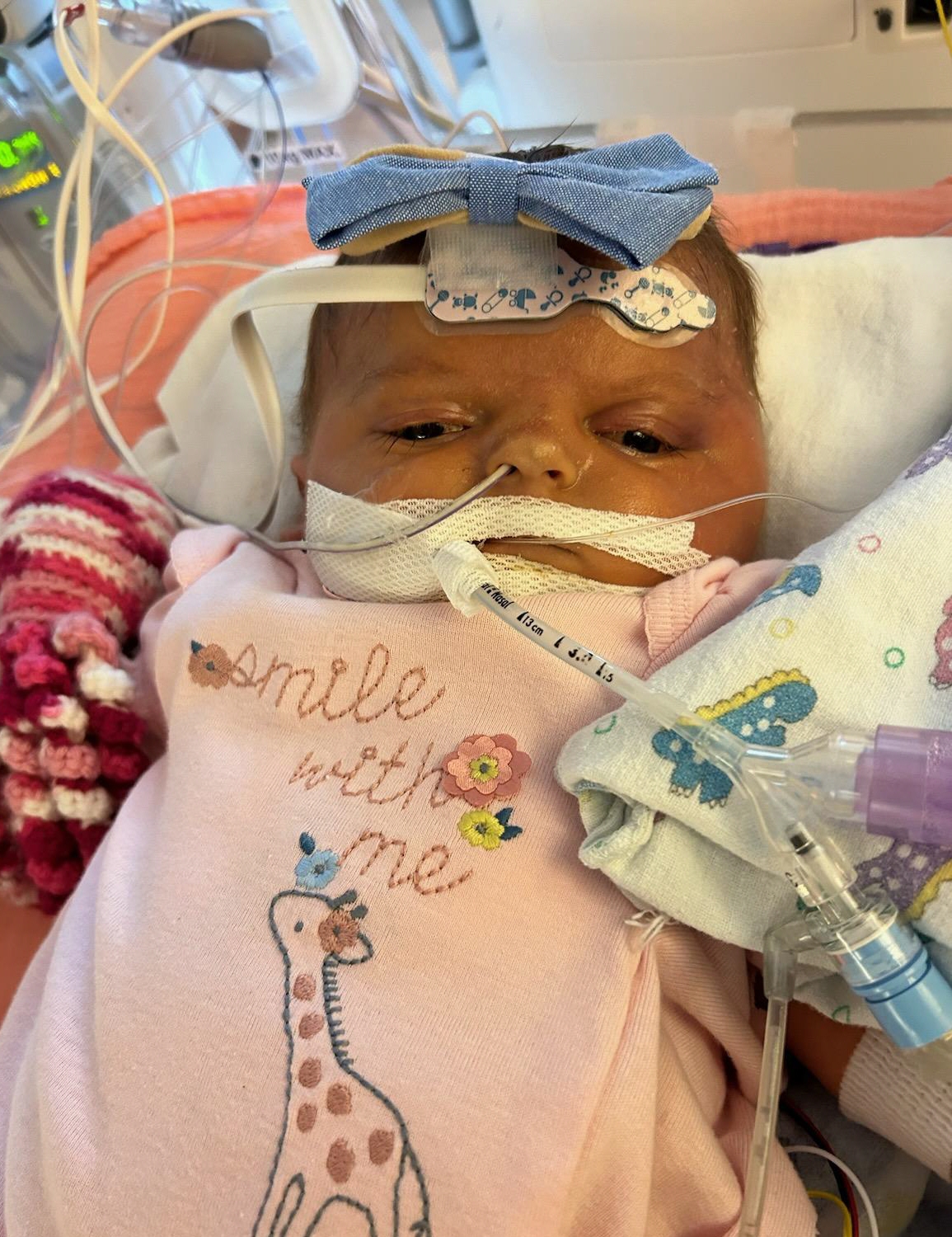 Marlene Zorn 2022 Sippel Funeral Home