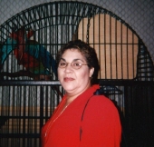 Dorothy J. Tapias Dominguez 26420129