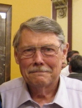Wayne  W. Danielson 