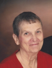 Photo of Nancy Van Zile