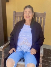Bertha Alicia Manjarrez Lopez 26480063