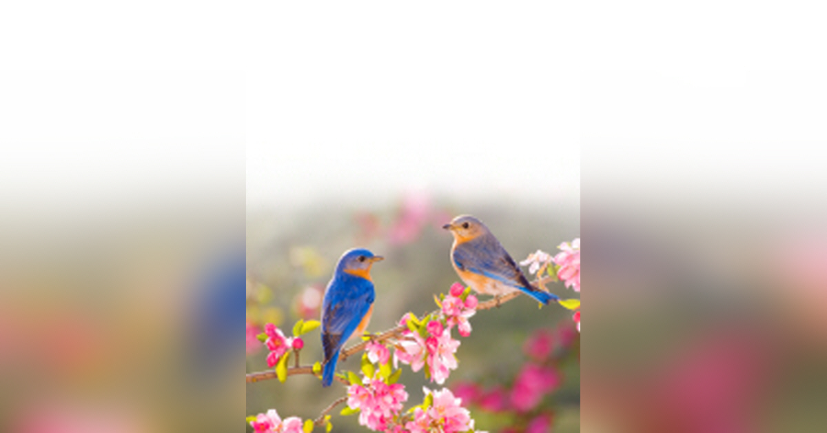 Obituary information for Miriam I. Miller