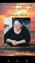 Patricia Louise Lacey 26688137