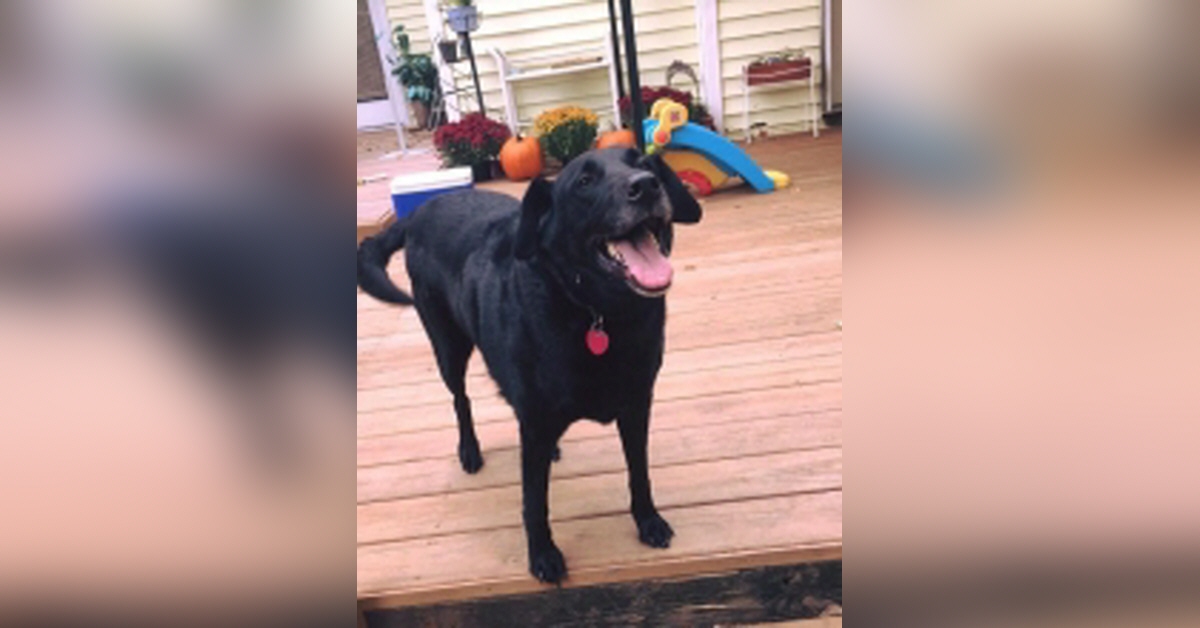 Obituary information for Dakota