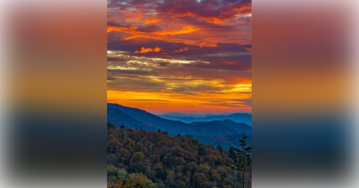 Obituary information for William Edward Jarvis