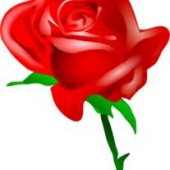 Julie K. Dimick 27580373