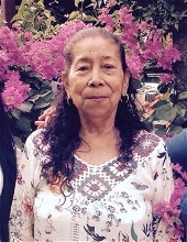 Epifania Brijil 27859133