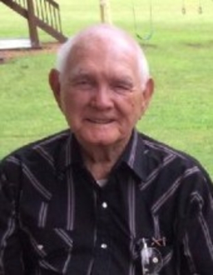William Wallace Vance Wynne, Arkansas Obituary