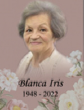 Blanca Iris Carrion Laureano 28082985