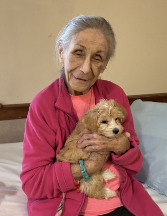 Barbara ann rock 2023 prasser kleczka funeral home