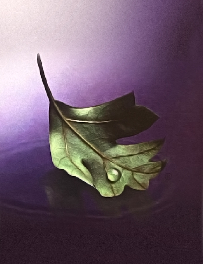 Rowan Michael Dietsch 2023 Snyder Funeral Homes