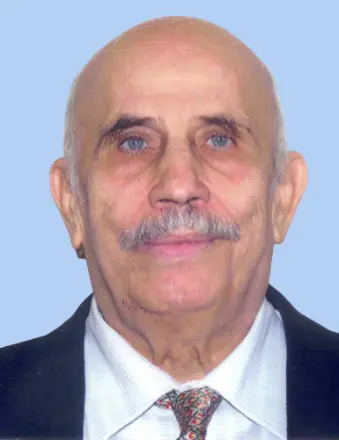 Yahya Sadek Ibrahim 28352685