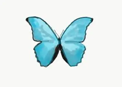 Christa Gier 28431250