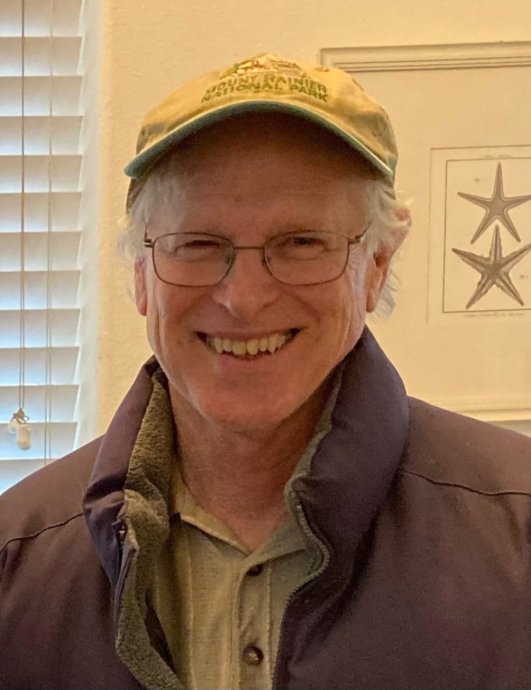 David Morris Memories Trees