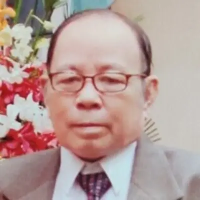 Van Pham Nguyen 28819825