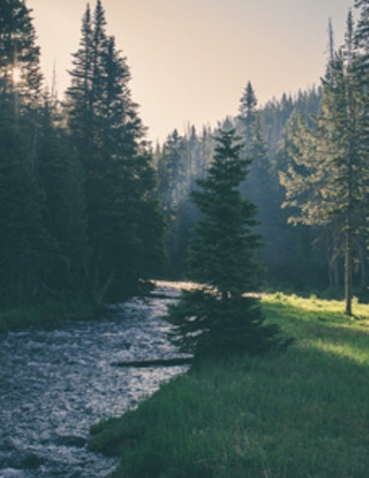 Ohio Cremation & Memorial Society | Columbus and Mansfield, OH Funeral ...