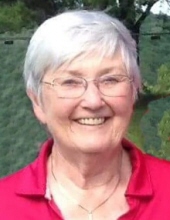 Barbara  "Bobbie" A. Nelson 2908587