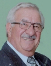 Louis A. Pellegrino Jr.