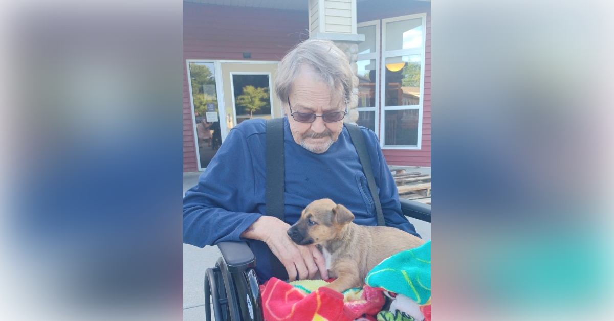 Obituary information for Bruce Macgregor