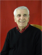 Dominic M. Pappaterra