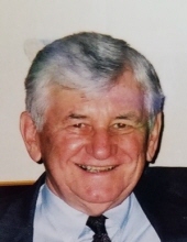 Albert J. Natick Norridge, Illinois Obituary
