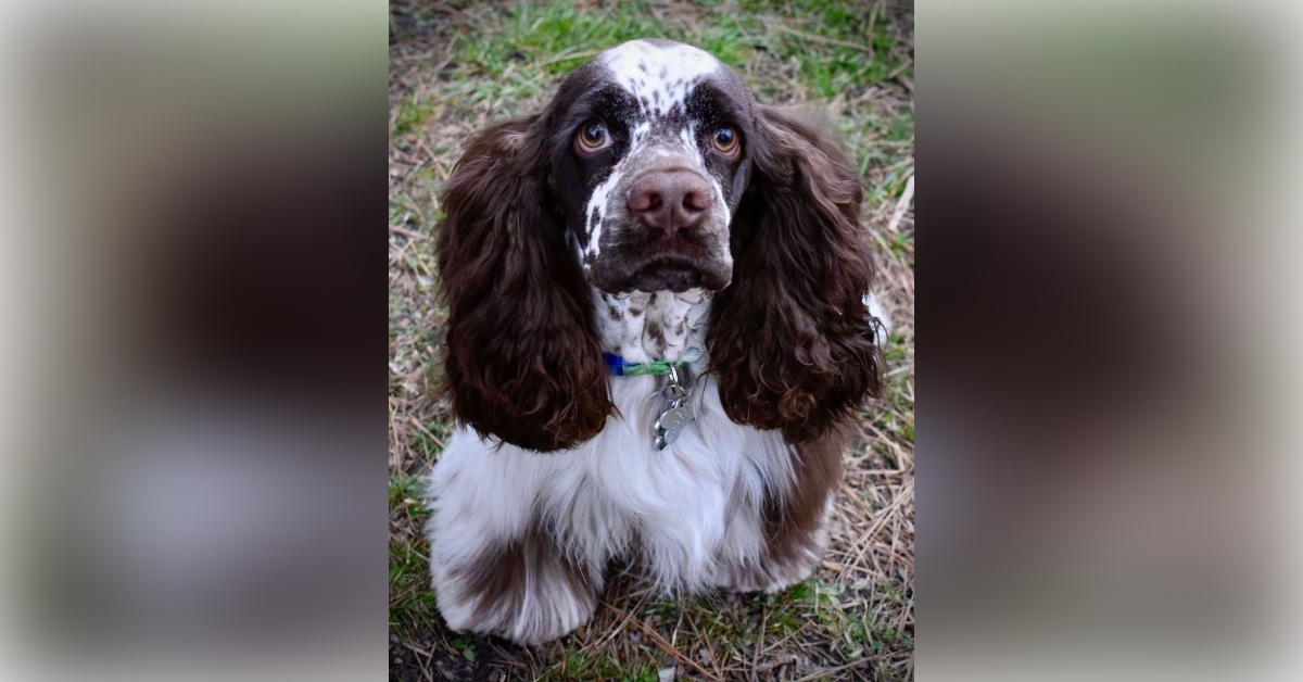 Obituary information for Otis