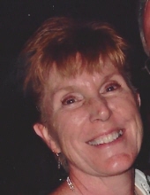 Photo of Suzanne Hollenbeck