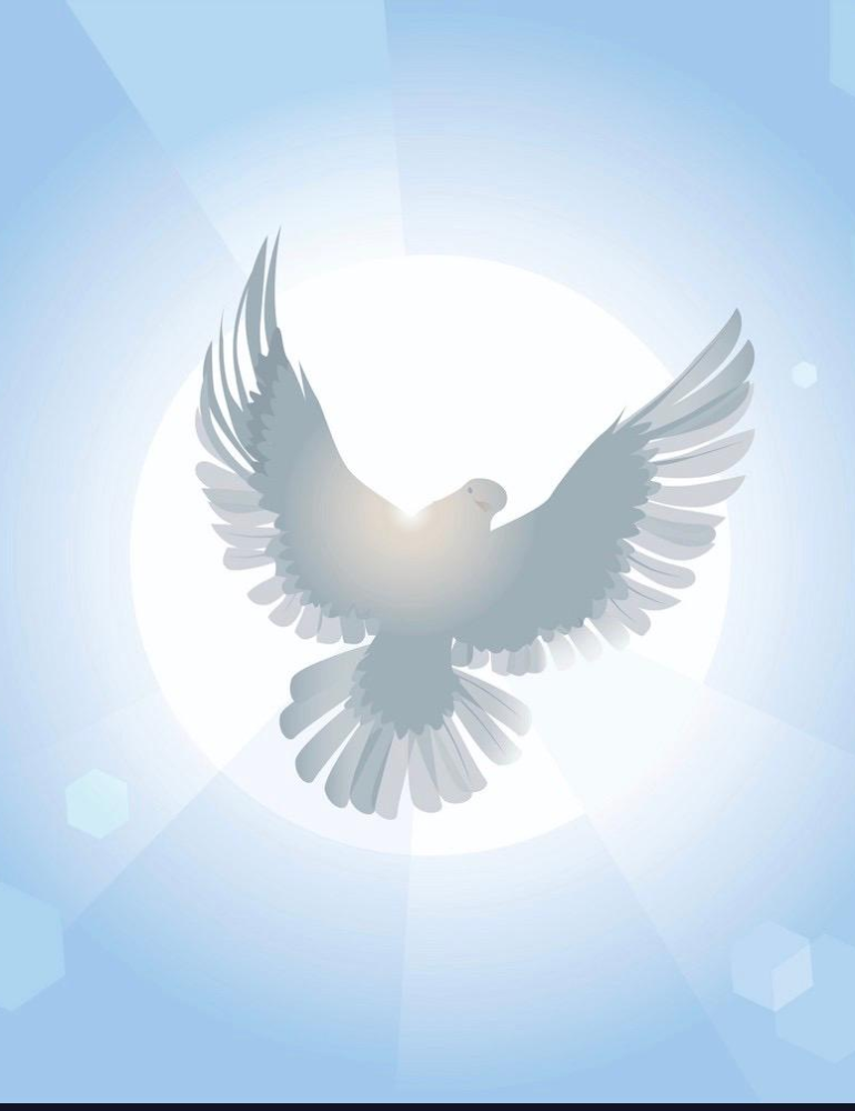 Narcisa Cortes 2023 Michael J. Grant Funeral Homes, Inc