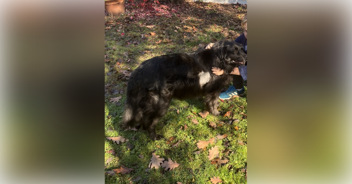 Obituary information for Sidney Barnwell