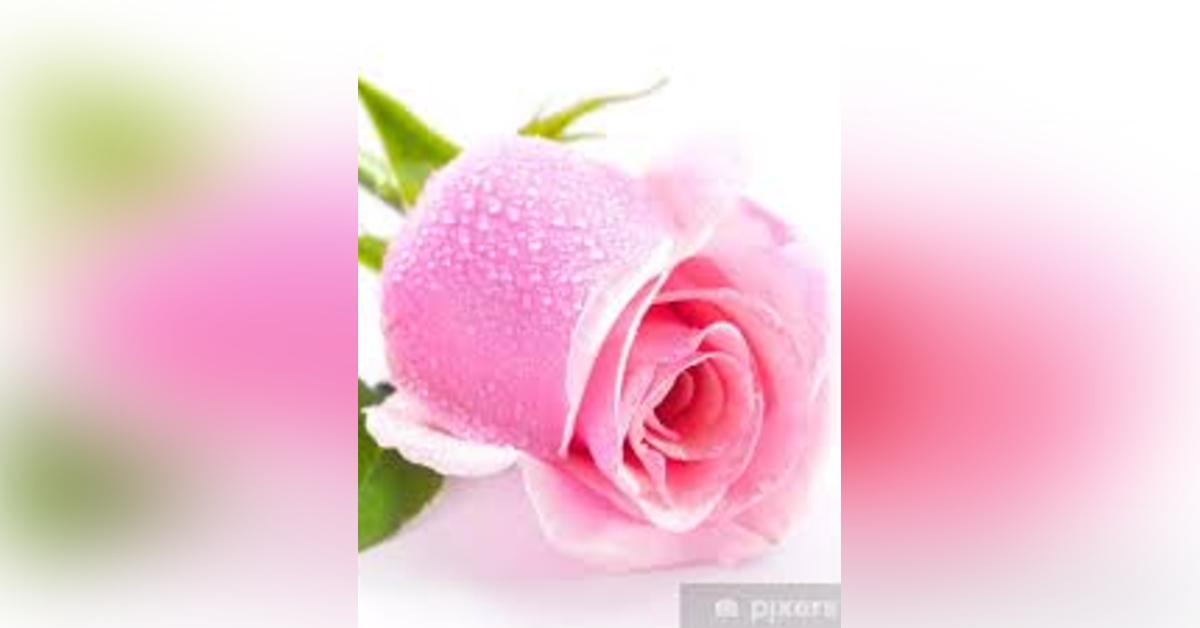 Obituary information for Florence Jill Dighton