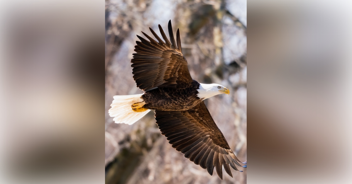 Obituary information for David J. Yoder