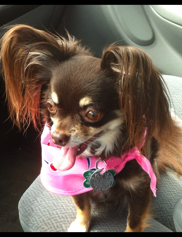 Coco Ubaldo BakerHazel & Snider Funeral Home and Crematory