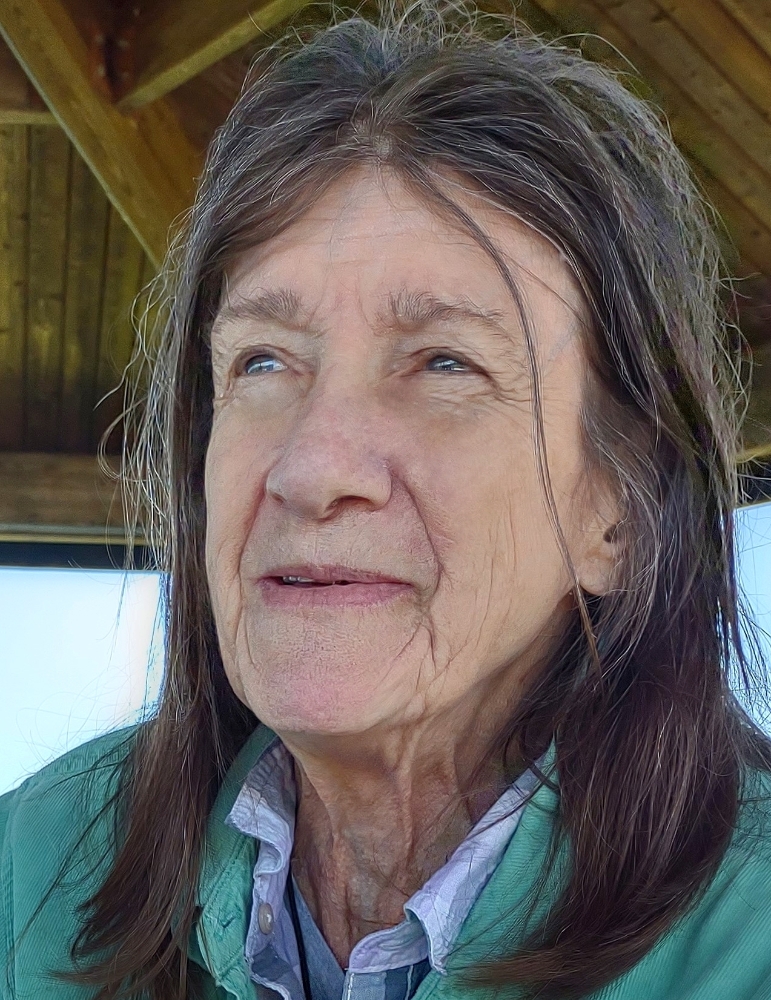 Karen J McMahon 2023 Dorsey Funeral Home Inc