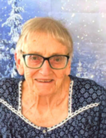 Amy L. Leslie Albion Obituary
