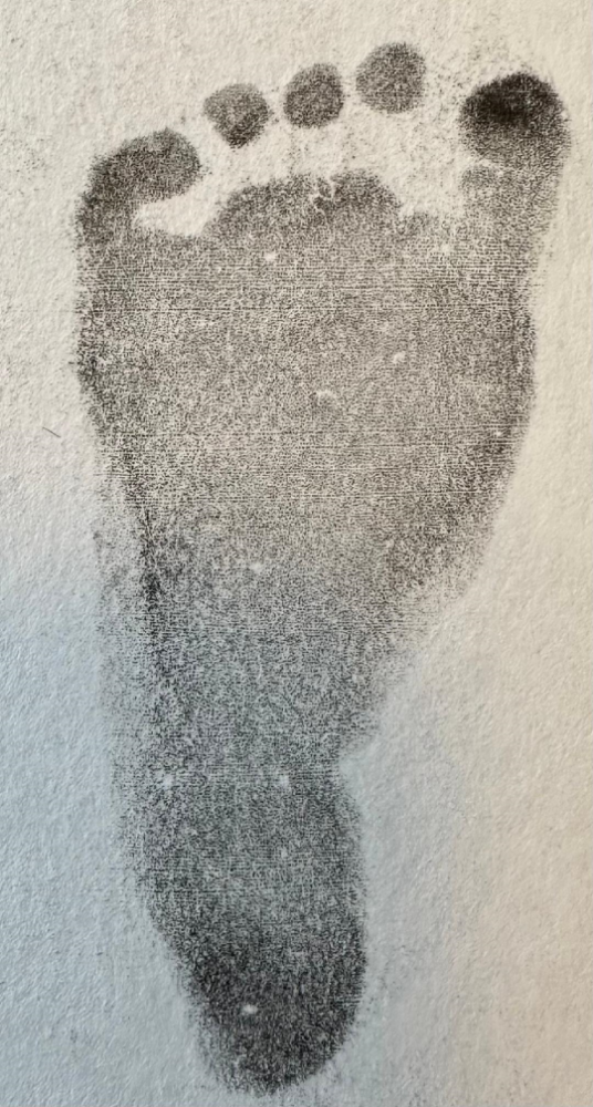 Evangeline Florence Dillabough 2024 Flint Funeral Home