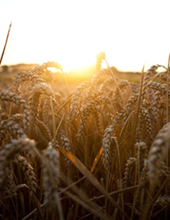 Enos M Bauman 2024 Dreisinger Funeral Home Ltd