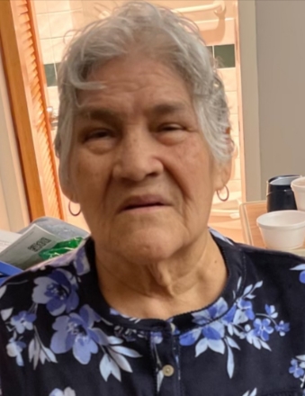 Maria Guadalupe Zamorano-Larios Mt. Pleasant Obituary