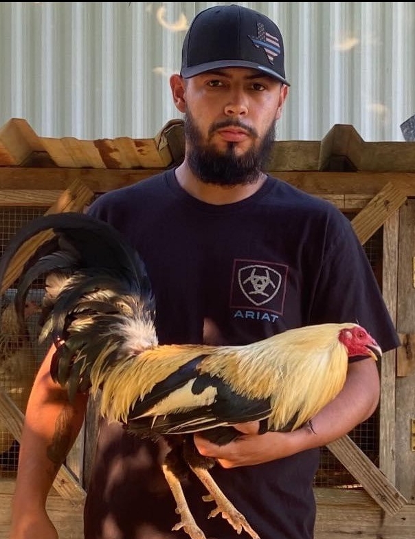 Daniel "GalloRooster" Rodriguez 2024 HerringtonLand of Memory