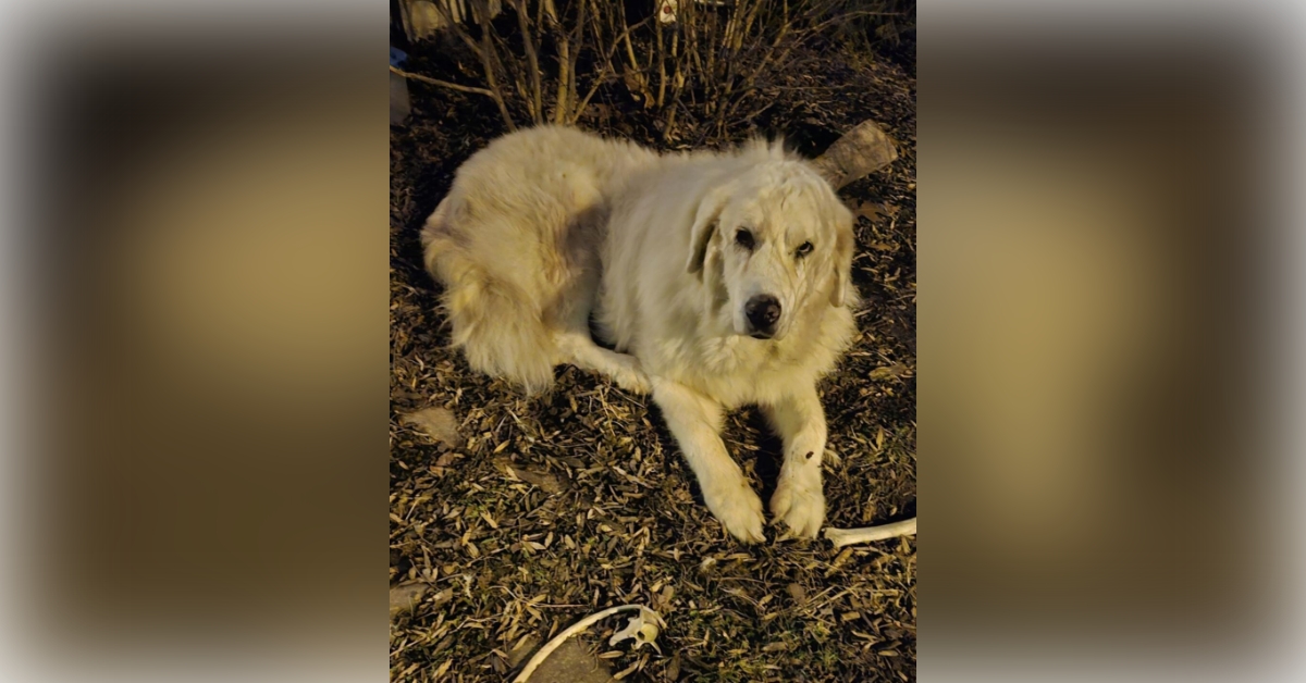 Obituary information for Athena Francis